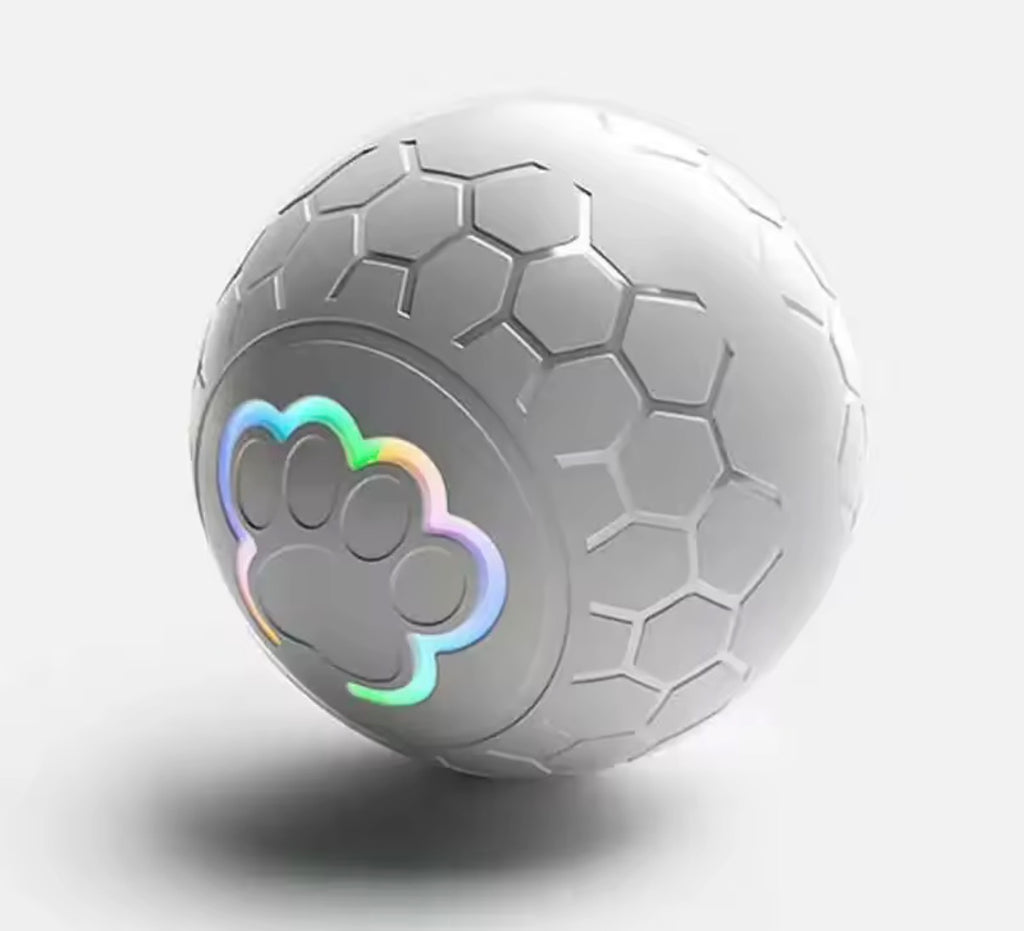 Smart dog ball toy Interactive